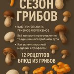 Курс «Сезон грибов»