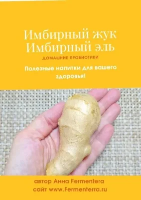 Изображение товара: Имбирный жук. Имбирный эль