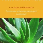 Уксус из алоэ вера