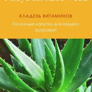 Постер товара: Уксус из алоэ вера
