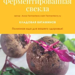 Постер товара: Ферментируем свеклу. Кладовая витаминов
