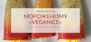 Постер товара: Сборник рецептов по мороженому Veganice