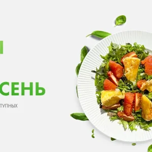 Постер товара: Салаты. Сезон лето-осень