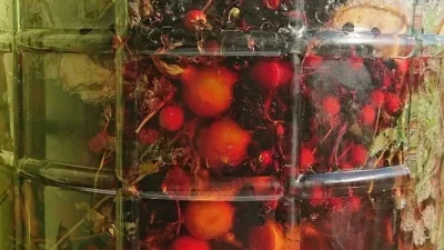 Изображение товара: Творим Сурицу
