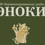 Ферментированные грибы эноки