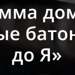 Домашние протеиновые батончики «от А до Я»