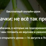 Кабачки: не всё так просто (2024)