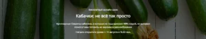 Постер товара: Кабачки: не всё так просто (2024)