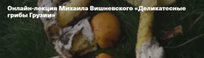 Изображение товара: Деликатесные грибы Грузии