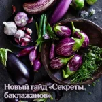 Гайд «Секреты баклажанов»
