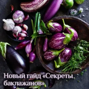 Постер товара: Гайд «Секреты баклажанов»