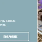 Сборник рецептов «Вафли»