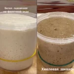 Курс по выведению заквасок