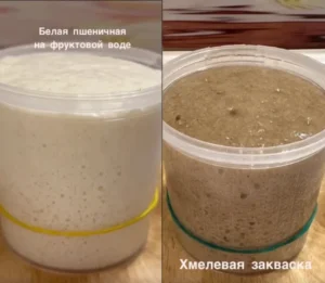 Постер товара: Курс по выведению заквасок