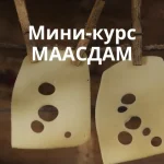 Маасдам
