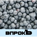 Впрокъ. Справочник по заготовкам