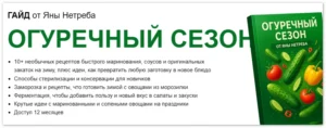 Постер товара: Гайд Огуречный сезон