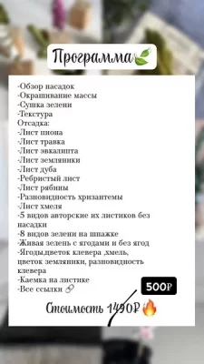 Изображение товара: Мастер-класс «Зелень»